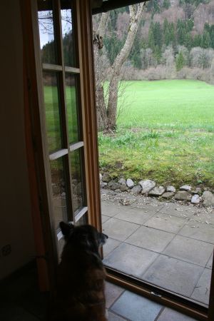 Bild 3: Ferienhaus "Häusl" in Pfronten im Allgäu