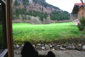 Blick vom Schlafzimmer in den Garten und in die Natur - Bild 4: Ferienhaus "Häusl" in Pfronten im Allgäu
