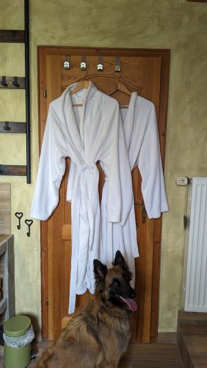 Bild 19: Ferienhaus Gabriela mit eingezäunten Garten und privatem Swimmingpool