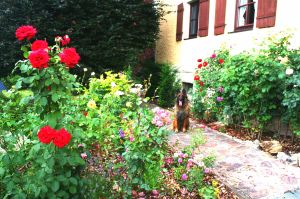 Bild 3: Ferienhaus Gabriela mit eingezäunten Garten und privatem Swimmingpool