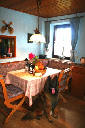 Bild 12: Ferienhaus Gabriela mit eingezäunten Garten und privatem Swimmingpool