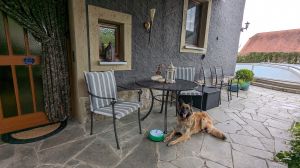 freistehendes Ferienhaus mit komplett eingezäunten Garten und privatem Swimmingpool
Hunde, egal wieviele, herzlich willkommen - Bild 9: Ferienhaus Gabriela mit eingezäunten Garten und privatem Swimmingpool