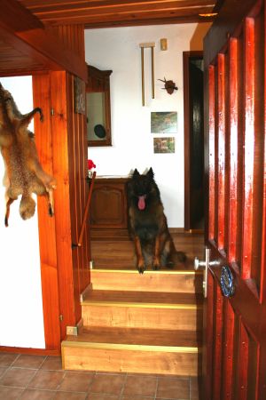 Eingangsbereich mit Garderobe - Bild 1: Ferienhaus Gabriela mit eingezäunten Garten und privatem Swimmingpool