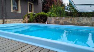 Hunde dürfen gerne mit an den Pool, aber nicht in den Pool - Bild 33: Ferienhaus Gabriela mit eingezäunten Garten und privatem Swimmingpool
