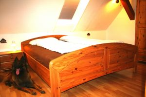 Bild 25: Ferienhaus Gabriela mit eingezäunten Garten und privatem Swimmingpool