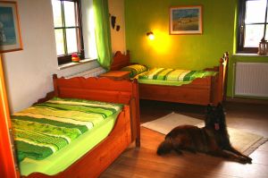 Bild 24: Ferienhaus Gabriela mit eingezäunten Garten und privatem Swimmingpool