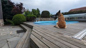 Bild 32: Ferienhaus Gabriela mit eingezäunten Garten und privatem Swimmingpool