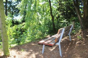 Hinter dem Haus gibt es genügend Bänke zum Ausruhen, Träumen und Verweilen. Jeder findet hier "seine" Bank. - Bild 15: Ferienwohnung EifelNatur 5 - gemütliche FeWo im Landhausstil