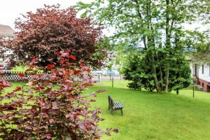 Bild 4: Ferienhaus Schulenberg -Ihr Feriendomizil für Urlaub mit Hund im Oberharz