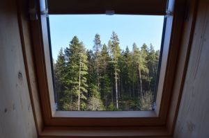 Blick aus dem Fenster
In der Nacht können Sie die Sternen und die Sternschnuppen sehen - Bild 12: gemütliches DG Einraum Apartment Tannenwipfel mit Infrarotsauna