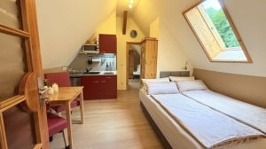 Bild 10: gemütliches DG Einraum Apartment Tannenwipfel mit Infrarotsauna