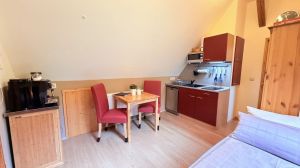 Bild 13: gemütliches DG Einraum Apartment Tannenwipfel mit Infrarotsauna