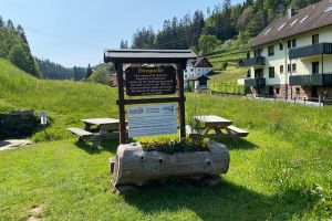 Quelle - Bild 50: gemütliches DG Einraum Apartment Tannenwipfel mit Infrarotsauna