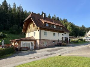 Bild 1: gemütliches DG Einraum Apartment Tannenwipfel mit Infrarotsauna