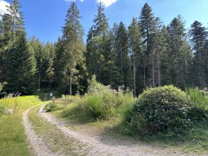 Bild 10: Neueröffnung gemütliche FeWo Poppelbach Balkon Panoramablick Kamin