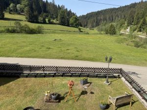Bild 2: Neueröffnung gemütliche FeWo Poppelbach Balkon Panoramablick Kamin