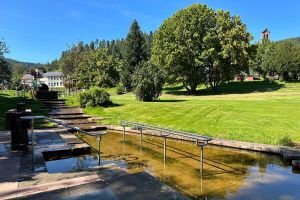mit Kneippbecken
Spielplatz - Bild 51: gemütliches DG Einraum Apartment Tannenwipfel mit Infrarotsauna
