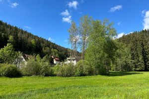 Bild 45: gemütliches DG Einraum Apartment Tannenwipfel mit Infrarotsauna