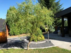 Bildergalerie von 5 Holzblockhaus Talblick im Harz, komplett neu gestaltet