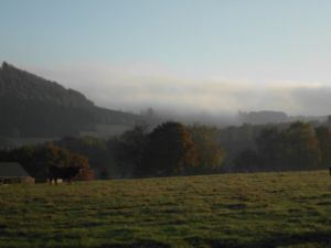 Bild 23: Ferienwohnung für 2 Personen im Schmallenberger - Sauerland - auch mit Hund