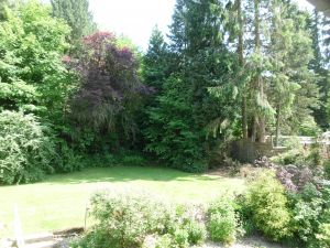 Ausblick von Balkon und Wohnzimmer - Bild 11: Ferienwohnung für 2 Personen im Schmallenberger - Sauerland - auch mit Hund