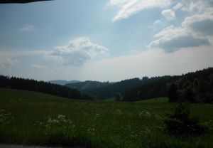 traumhafte Aussichten - Bild 3: Ferienwohnung für 2 Personen im Schmallenberger - Sauerland - auch mit Hund