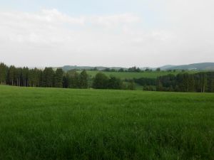 Einfach mal die Seele baumeln lassen - Bild 4: Ferienwohnung für 2 Personen im Schmallenberger - Sauerland - auch mit Hund