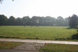 Bild 9: Ferienhaus Antje mit eigenem eingezäunten Garten in Holland