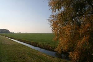 Umgebung fußläufig vom Haus - Bild 11: Ferienhaus Antje mit eigenem eingezäunten Garten in Holland