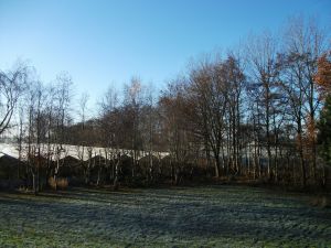 Blick ins Grüne von Ihrem Balkon aus - Bild 3: Ferienwohnung Nicki in Dornum