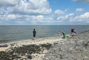 Bild 8: Ferienhaus Nord-Seehund, Modernes Ferienhaus an der Nordsee in Tossens