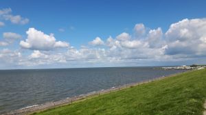 Bild 7: Ferienhaus Nord-Seehund, Modernes Ferienhaus an der Nordsee in Tossens