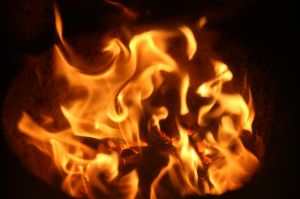 Bild 16: Ferienhaus Nord-Seehund, Modernes Ferienhaus an der Nordsee in Tossens