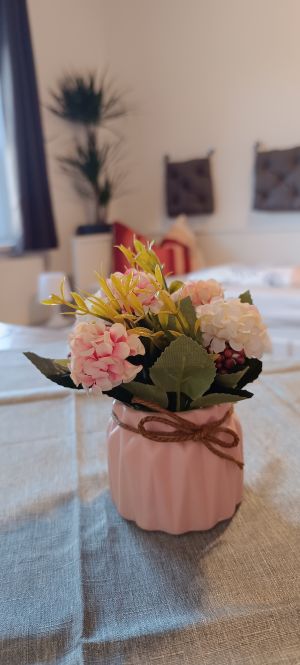 Bild 19: Ferienwohnung Gentsch in Schmannewitz - Eine FeWo NUR für Sie -