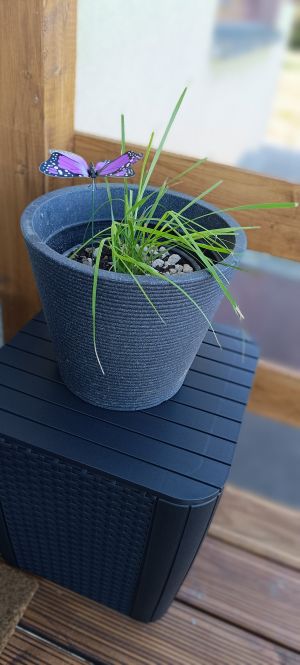 Bild 18: Ferienwohnung Gentsch in Schmannewitz - Eine FeWo NUR für Sie -