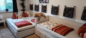 Foto als Schlaffunktion für 3 Personen - Bild 3: Ferienwohnung Gentsch in Schmannewitz - Eine FeWo NUR für Sie -