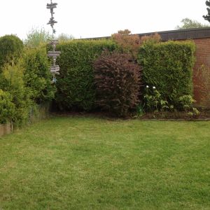 Bild 16: Ferienhaus Leni - Urlaub mit Hund an der ostfriesischen Nordsee