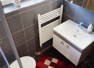 Ebenfalls mit einer bodentiefen Dusche ausgestattet finden Sie hier ein WC, Waschbecken mit Unterschrank und Kosmetikspiegel. - Bild 10: Ferienhaus Zur Eiche, Born am Darß, Fischland-Darß-Zingst mit Boddenblick