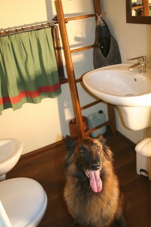 Bild 25: wunderbar ruhig und romantisch gelegenes Ferienhaus in Bezzecca am Ledrosee