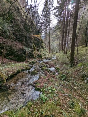 Natur Pur rings ums Haus - Bild 12: wunderbar ruhig und romantisch gelegenes Ferienhaus in Bezzecca am Ledrosee