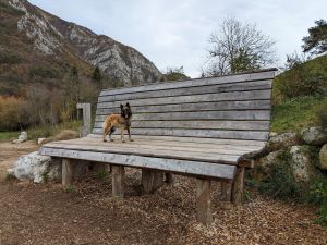 Bild 15: wunderbar ruhig und romantisch gelegenes Ferienhaus in Bezzecca am Ledrosee