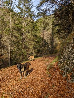 Bild 11: wunderbar ruhig und romantisch gelegenes Ferienhaus in Bezzecca am Ledrosee