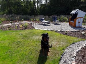 mit Strandkorb und Liegestühlen - Bild 20: Ferienhaus Windrose II am Ostseestrand von Schönberg-Kalifornien