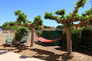 Bild 2: Ferienhaus Martina Südfrankreich 3 Minuten zum Strand