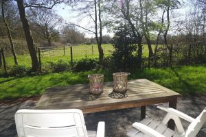 Bild 10: N129a versteckt zwischen Büschen und Bäumen und doch strandnah