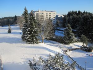 Bild 15: Koch-Harzferien mit Kind, Hund incl. Internet Hahnenklee für 3 Pers.
