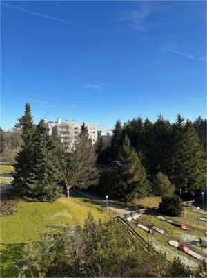 Bild 16: Koch-Harzferien mit Kind, Hund incl. Internet Hahnenklee für 3 Pers.