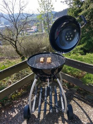 Bild 14: Ferienhaus Dornhecke gemütliches Holzhaus mit Kamin, Weitblick