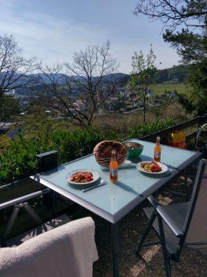 Bild 12: Ferienhaus Dornhecke gemütliches Holzhaus mit Kamin, Weitblick