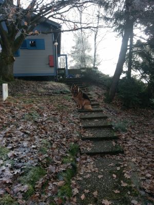 Bild 1: Ferienhaus Dornhecke gemütliches Holzhaus mit Kamin, Weitblick